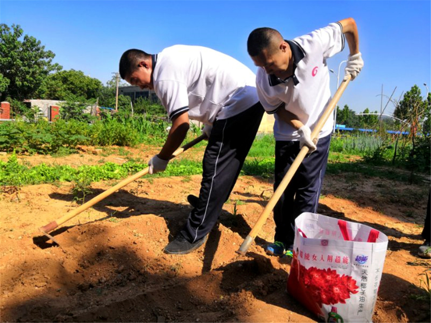 市特教中心舉行“展學(xué)藝、慶黨建”活動(dòng)