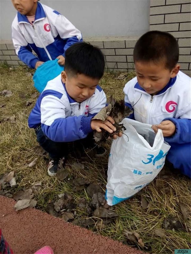 踐行雷鋒精神 營(yíng)造綠色校園