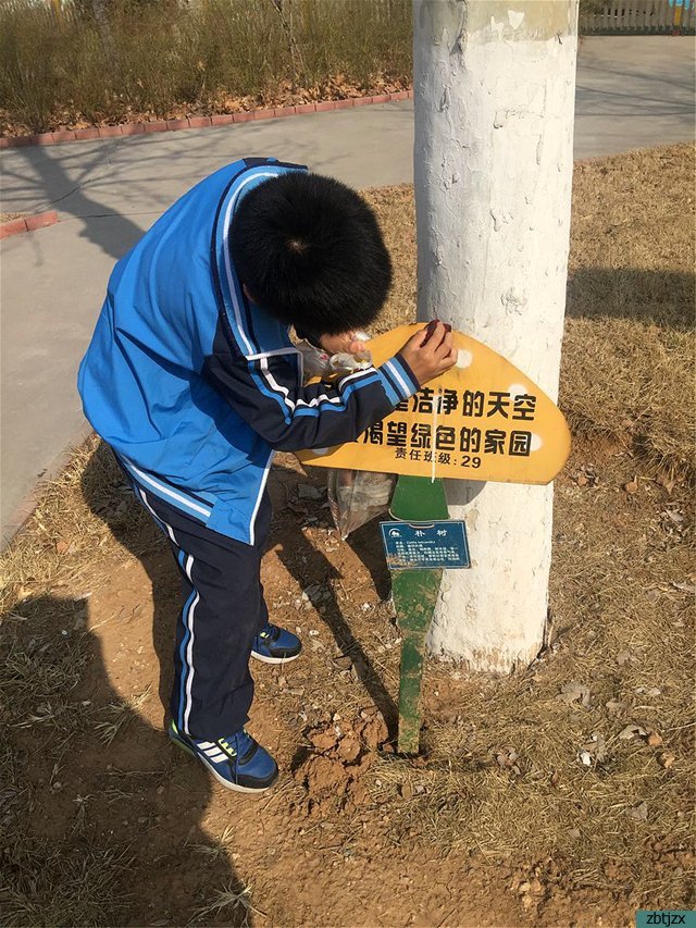 愛(ài)綠護(hù)綠 美我校園