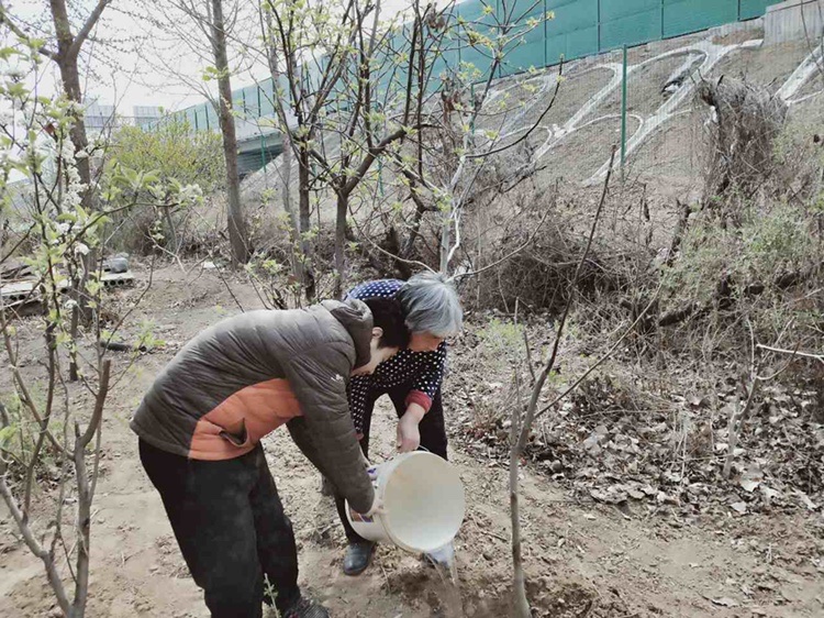 勞動充盈身心 實(shí)踐促進(jìn)成長