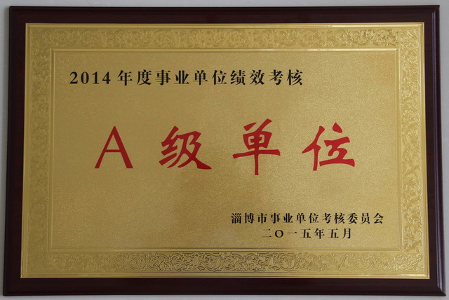 2015學校集體榮譽