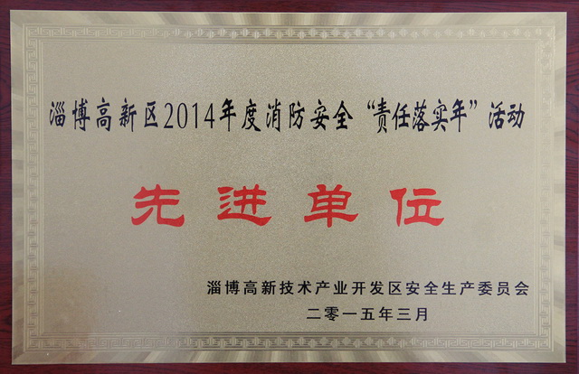 2015學校集體榮譽